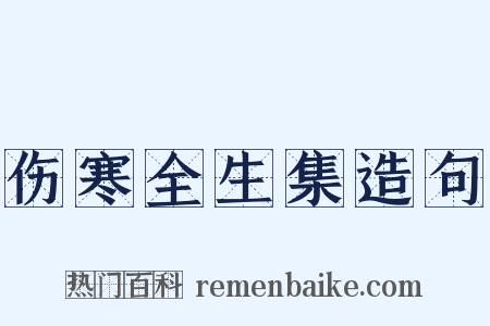 伤寒全生集造句是什么意思的图片